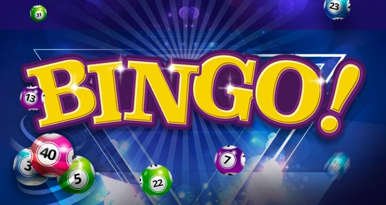Learn How to Play Bingo Online